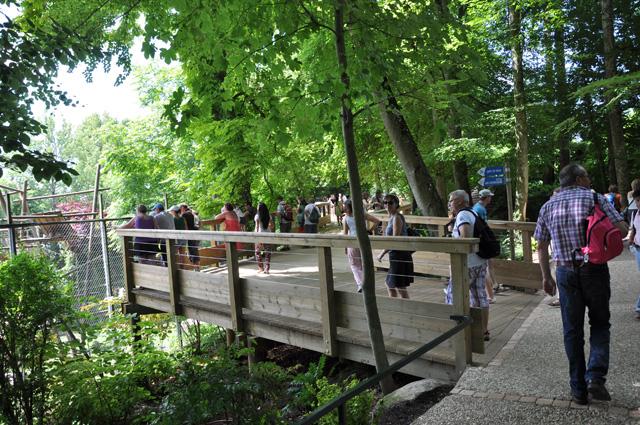 min 2013 07 06 beauval 172